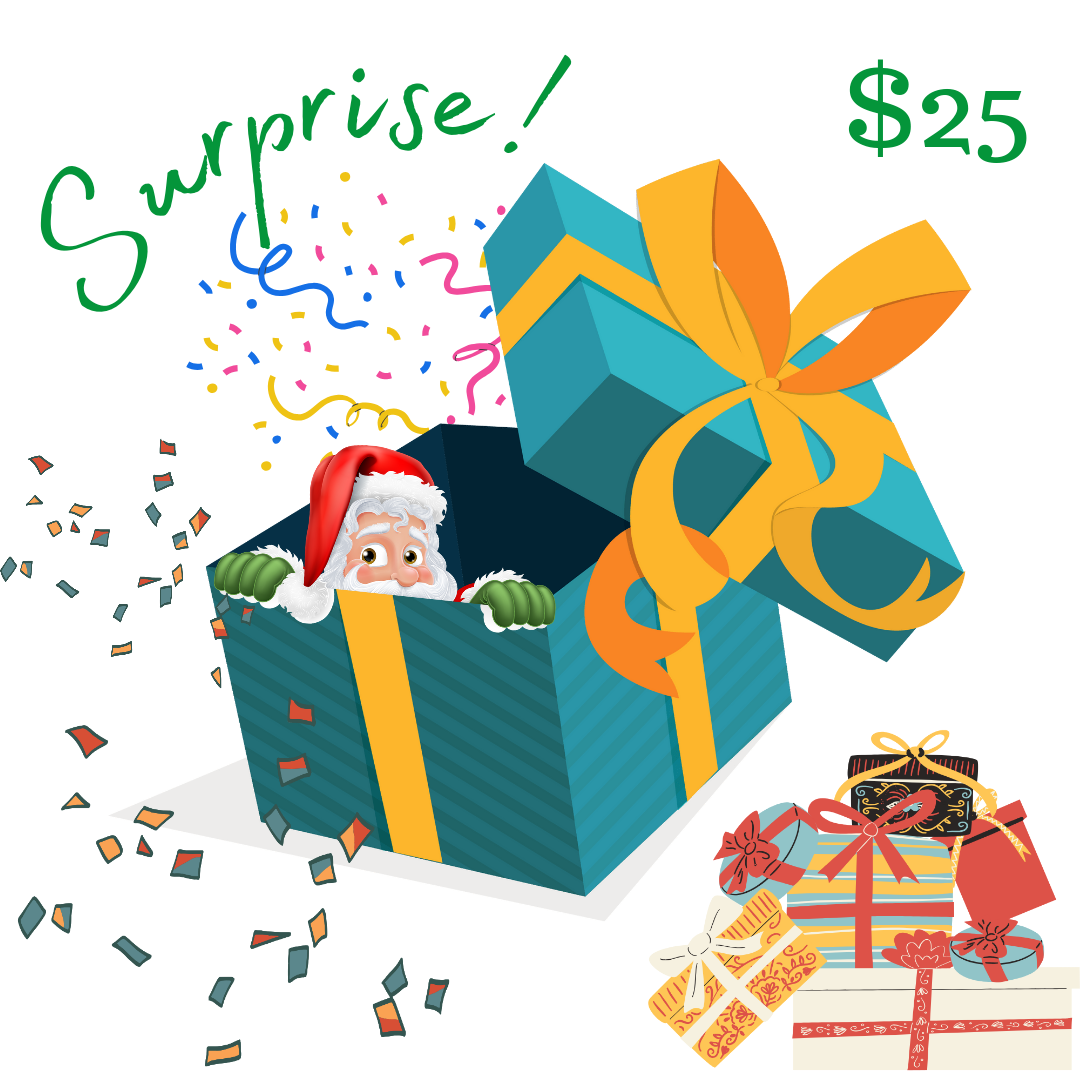 $25 Surprise Me Box
