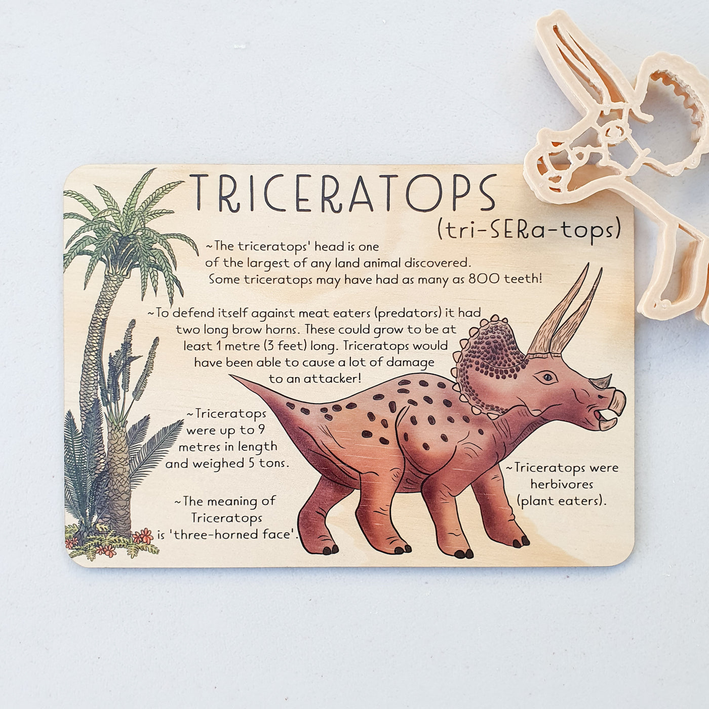 Triceratops Jumbo Timber Tile