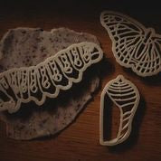 Monarch Butterfly Eco Cutter Set